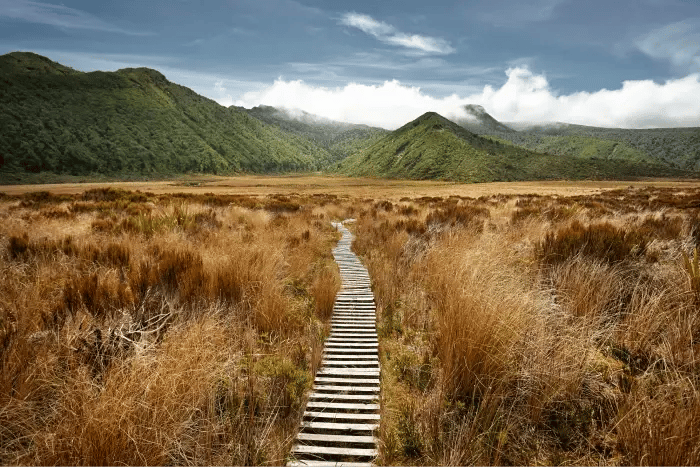 chemin-paysage-paradisiaque