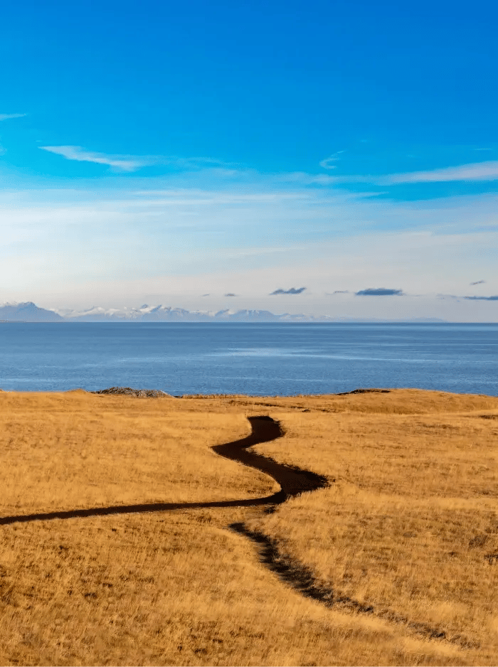 paysage-bord-mer