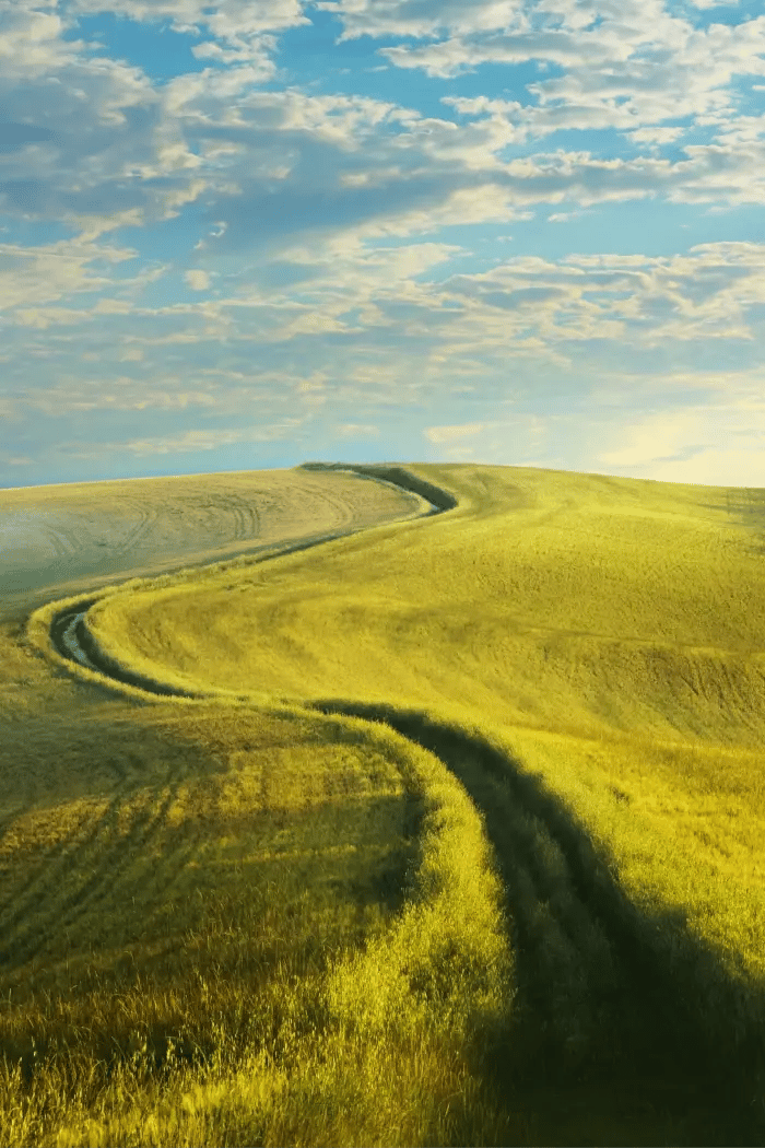 vue-chemin-campagne