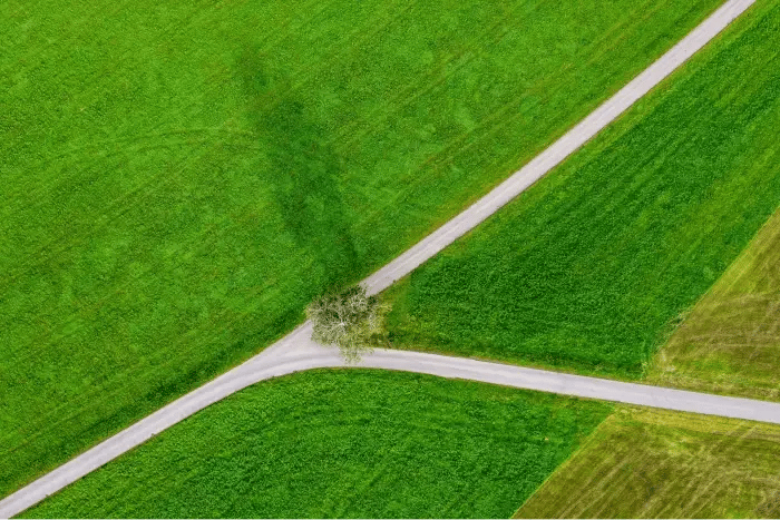 vue-aerienne-verdure