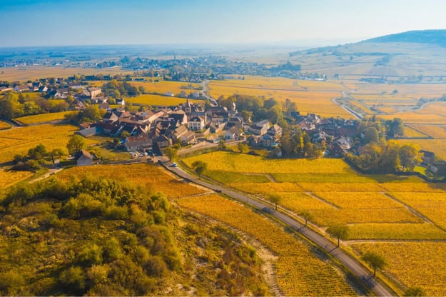 Picture of Auxerre