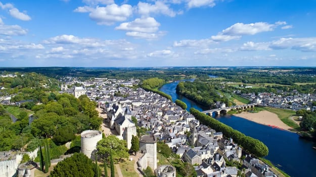 Picture of Chinon