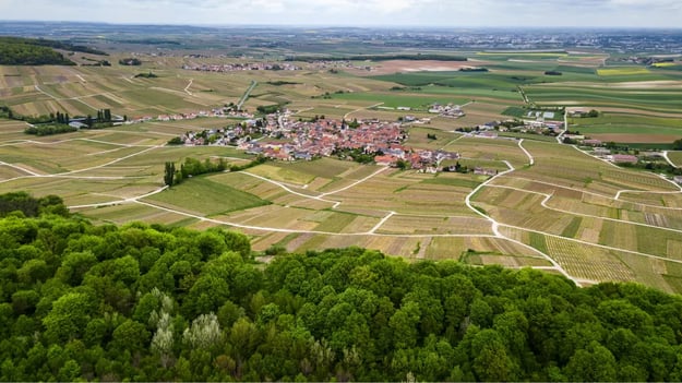 Picture of MONTEVRAIN